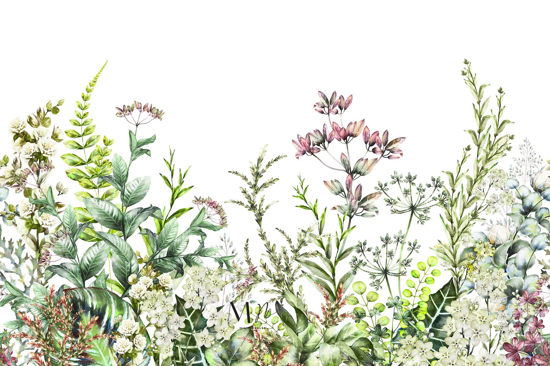 Hiervas silvestres imagen