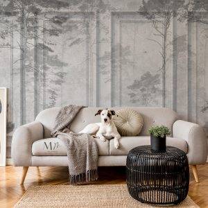 Bosque nublado y molduras