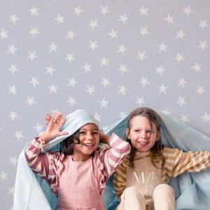 Estrellitas de la noche